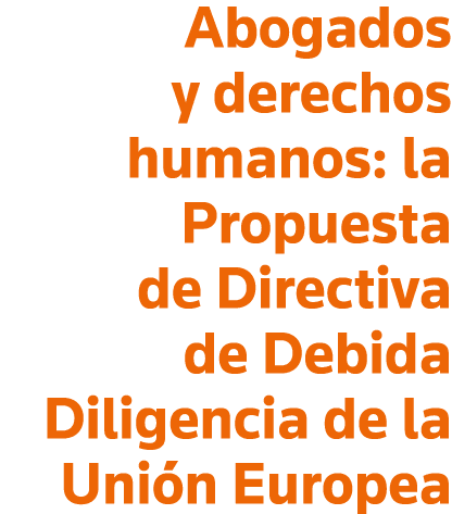Abogados y derechos humanos: la Propuesta de Directiva de Debida Diligencia de la Unión Europea