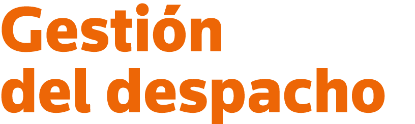 Gestión del despacho