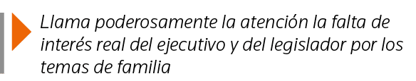  Llama poderosamente la atención la falta de interés real del ejecutivo y del legislador por los temas de familia