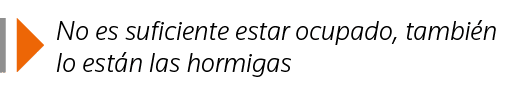  No es suficiente estar ocupado, también lo están las hormigas