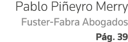 Pablo Piñeyro Merry Fuster-Fabra Abogados Pág  39