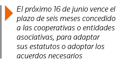  El próximo 16 de junio vence el plazo de seis meses concedido a las cooperativas o entidades asociativas, para adapt   