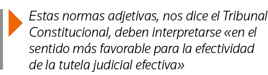  Estas normas adjetivas, nos dice el Tribunal Constitucional, deben interpretarse  en el sentido más favorable para l   
