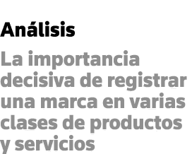 Análisis La importancia decisiva de registrar una marca en varias clases de productos y servicios