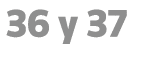36 y 37