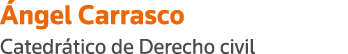 Ángel Carrasco Catedrático de Derecho civil