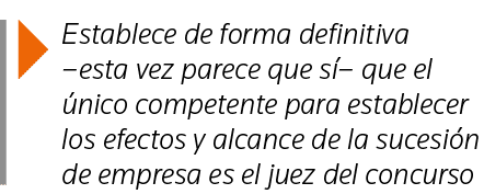  Establece de forma definitiva  esta vez parece que sí  que el único competente para establecer los efectos y alcance   