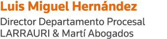 Luis Miguel Hernández Director Departamento Procesal LARRAURI & Martí Abogados