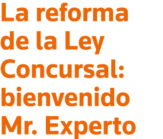 La reforma de la Ley Concursal: bienvenido Mr  Experto