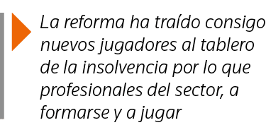  La reforma ha traído consigo nuevos jugadores al tablero de la insolvencia por lo que profesionales del sector, a fo   