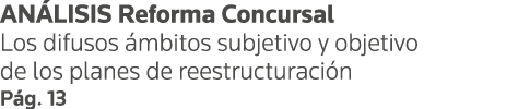 ANÁLISIS Reforma Concursal Los difusos ámbitos subjetivo y objetivo de los planes de reestructuración Pág  13
