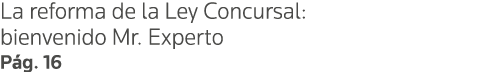 La reforma de la Ley Concursal: bienvenido Mr  Experto Pág  16