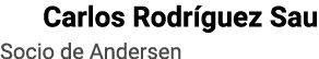   Carlos Rodríguez Sau Socio de Andersen