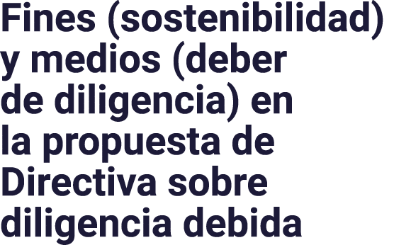 Fines (sostenibilidad) y medios (deber de diligencia) en la propuesta de Directiva sobre diligencia debida