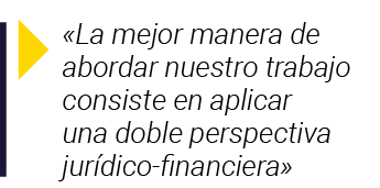   La mejor manera de abordar nuestro trabajo consiste en aplicar una doble perspectiva jurídico-financiera 
