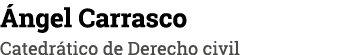 Ángel Carrasco Catedrático de Derecho civil
