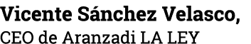 Vicente Sánchez Velasco,  CEO de Aranzadi LA LEY