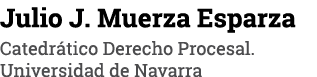 Julio J  Muerza Esparza Catedrático Derecho Procesal  Universidad de Navarra