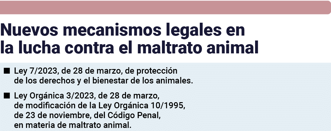  Nuevos mecanismos legales en la lucha contra el maltrato animal   Ley 7 2023, de 28 de marzo, de protección de los d   