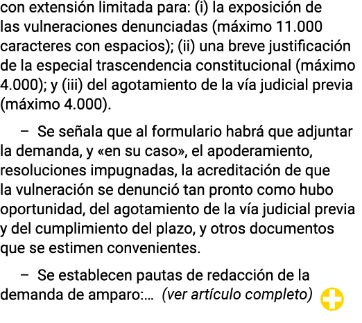 con extensión limitada para: (i) la exposición de las vulneraciones denunciadas (máximo 11 000 caracteres con espacio   