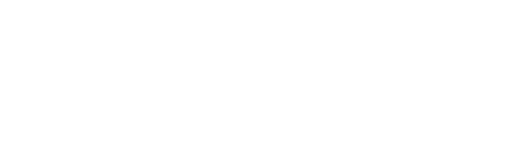  Estás intentando pescar tiburones con una red para sardinas 