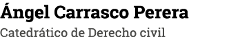 Ángel Carrasco Perera Catedrático de Derecho civil