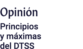 Opinión Principios y máximas del DTSS