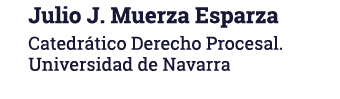 Julio J  Muerza Esparza Catedrático Derecho Procesal  Universidad de Navarra