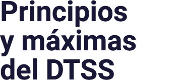 Principios y máximas del DTSS