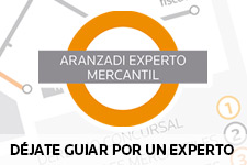 Aranzadi Experto Mercantil Experto Mercantil