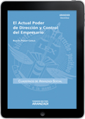 El Actual Poder de Dirección y Control del Empresario (e-book)