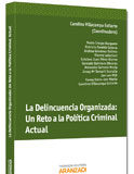 La Delincuencia Organizada: Un Reto a la Política-Criminal Actual La Delincuencia Organizada: Un Reto a la Política-Criminal Actual