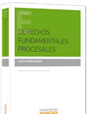 Derechos fundamentales procesales Derechos fundamentales procesales