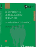 El Expediente de Regulación de Empleo El Expediente de Regulación de Empleo