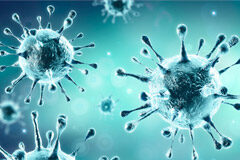 Incidencia del coronavirus 19 en la ejecución del contrato Coronavirus