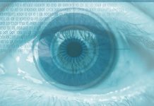 Datos biométricos y control en las fronteras del espacio Schengen ¿regresión o progresión?