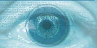 Datos biométricos y control en las fronteras del espacio Schengen ¿regresión o progresión?