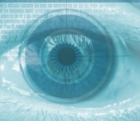 Datos biométricos y control en las fronteras del espacio Schengen ¿regresión o progresión?