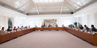 Las sociedades cotizadas podrán identificar a sus accionistas para facilitar su participación en el desarrollo de la sociedad Consejo de Ministros