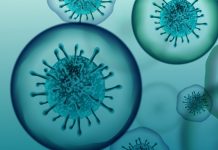 La tecnología como herramienta frente al COVID19: límites y garantías para no vulnerar la normativa sobre protección de datos Coronavirus