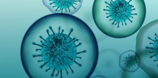 El Estado de Derecho en tiempos del coronavirus Coronavirus