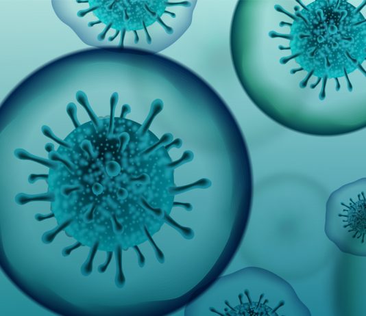 La tecnología como herramienta frente al COVID19: límites y garantías para no vulnerar la normativa sobre protección de datos Coronavirus