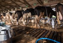 ESKARIAM lidera la reclamación del cártel lácteo con la propuesta más completa del sector Lácteo