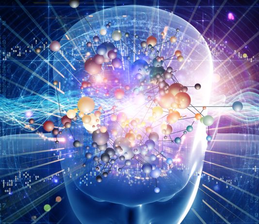 “Abogados y jueces están participando en programas de educación para aprender sobre la anatomía del cerebro, resonancias magnéticas y electroencefalogramas”