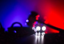 El delito del artículo 384,1 del Código Penal y el Riesgo para la Seguridad Vial