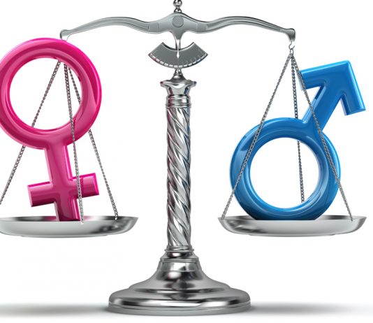 La lucha de géneros en la abogacía: Perspectiva desde la igualdad vivida Violencia de género