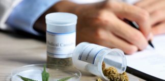 La Audiencia de Valencia condena a prisión a tres miembros de una asociación para el estudio del cannabis de Gandía