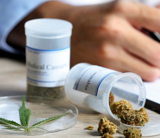 La Audiencia de Valencia condena a prisión a tres miembros de una asociación para el estudio del cannabis de Gandía