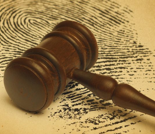 Los plazos de detención policial y judicial según la jurisprudencia constitucional