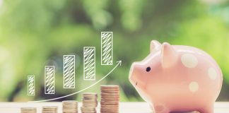 Destino del superávit de las Entidades Locales